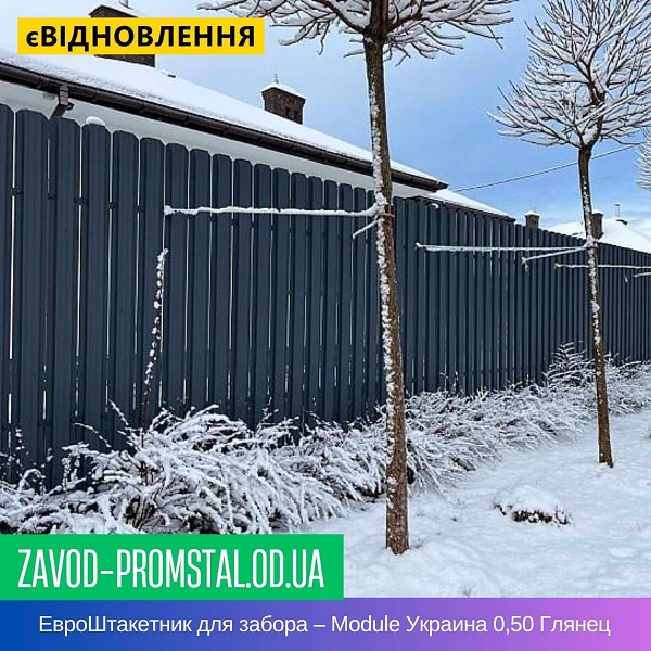 ЕвроШтакетник для забора – Module Украина 0,50 Глянец