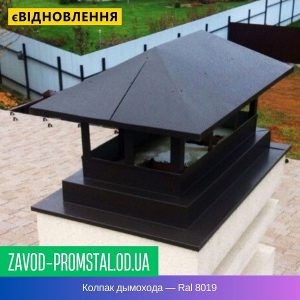 Колпак дымохода — Ral 8019