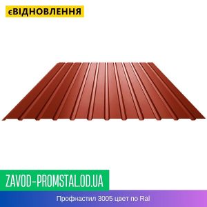 Профнастил 3005 цвет по Ral
