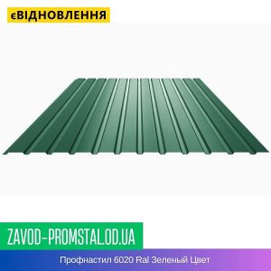 Профнастил 6020 Ral Зеленый Цвет