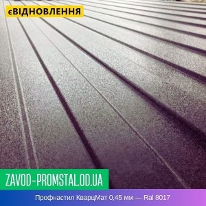 цена Профнастил КварцМат 0,45 мм — Ral 8017
