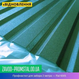 цена Профнастил для забора 2 метра — Ral 6005