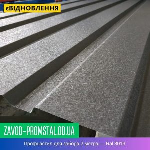 цена Профнастил для забора 2 метра — Ral 8019