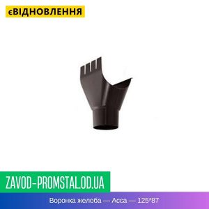 Воронка желоба — Асса — 125