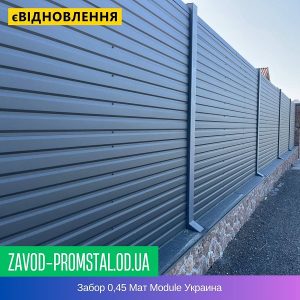 Забор 0,45 Мат Module Украина