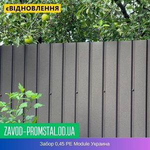 Забор 0,45 РЕ Module Украина